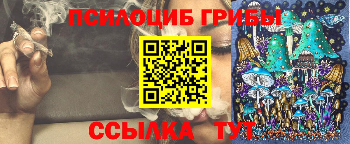 Муром  Галлюциногенные грибы Psilocybe  Вход с VPN 